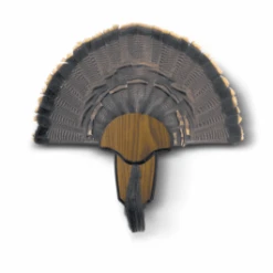 Hunters Specialties Strut Turkey Fan Mounting Plaque