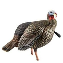 Avian-X HDR Jake Decoy