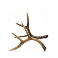 Stratton Outdoors Antlers