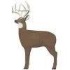 Field Logic Targets GlenDel Pre-Rut Buck W/ 4-sided Core