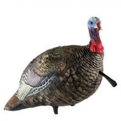 Avian-X LCD Quarter-Strut Jake Decoy