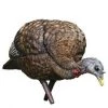 Avian-X LCD Feeder Hen Decoy