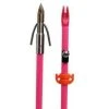 AMS Bowfishing Chaos Point With Pink Fiberglass Shaft
