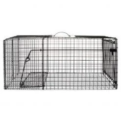 Bridger Raccoon Cage Trap - 12 X 12 X 29