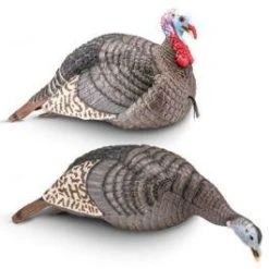 Hunters Specialties Hunter's Specialties Strut-Lite Jake & Hen Turkey Decoy Combo
