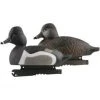 Avery Life-Size Ring-Necked Ducks (1/2 Dozen)