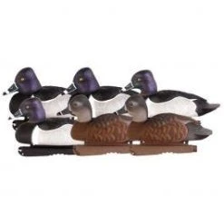 Avery PG Ring-Necked Ducks (1/2 Dozen)
