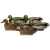 Avery PG XD Series Mallards-Active Pack (1/2 Dozen)
