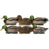 Avery PG XD Series Mallards-Harvester Pack (1/2 Dozen)